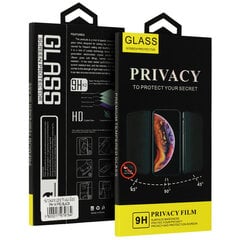 Apsauginis stiklas Privacy Glass Samsung Galaxy S22 цена и информация | Защитные пленки для телефонов | pigu.lt