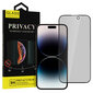 Apsauginis stiklas Privacy Glass Samsung Galaxy S22 Ultra kaina ir informacija | Apsauginės plėvelės telefonams | pigu.lt