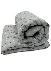 Стеганое шерстяное одеяло All Seasons Grey, 140x200 см цена и информация | Одеяла | pigu.lt
