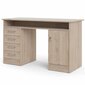 Rašomasis stalas Aatrium, 120x55x75.6 cm, rudas kaina ir informacija | Kompiuteriniai, rašomieji stalai | pigu.lt