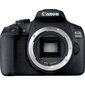 Canon EOS 2000D + EF-S 18-55mm IS STM + EF-S 55-250mm IS STM kaina ir informacija | Skaitmeniniai fotoaparatai | pigu.lt
