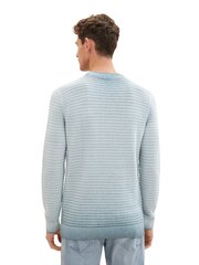 Мужской свитер Tom Tailor, голубой цвет цена и информация | Мужские свитера | pigu.lt
