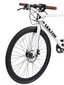 Elektrinis dviratis Oolter Torm, M dydis, baltas kaina ir informacija | Elektriniai dviračiai | pigu.lt