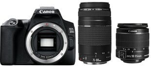 Canon EOS 250D + EF-S 18–55 мм IS II + EF 75–300 мм III цена и информация | Цифровые фотоаппараты | pigu.lt