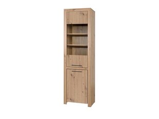 Витрина ADRK Furniture Janez, коричневый цена и информация | Витрины, серванты | pigu.lt