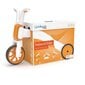 Triratis balansinis dviratis Chillafish Bunzi 2-in-1, oranžinis kaina ir informacija | Balansiniai dviratukai | pigu.lt
