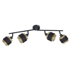 Настенный светильник Renez  SPL-95820-4 цена и информация | Потолочные светильники | pigu.lt