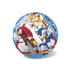 Kamuolys Star, Sonic, 23 cm цена и информация | Игрушки для песка, воды, пляжа | pigu.lt