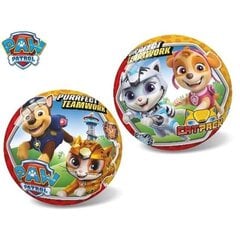 Kamuolys Star, Paw Patrol (Šunyčiai Patruliai) cat, 23 cm цена и информация | Игрушки для песка, воды, пляжа | pigu.lt