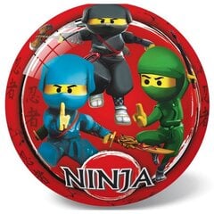 Kamuolys Star, Ninja, 23 cm цена и информация | Игрушки для песка, воды, пляжа | pigu.lt