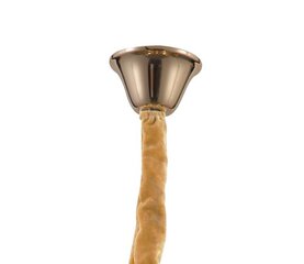 Золотой подвесной светильник 40 Вт E14 цена и информация | Люстры | pigu.lt