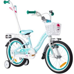 16" Велосипед Kitty Karbon, цвет: белый/мятный цена и информация | Велосипеды | pigu.lt