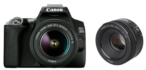 Canon EOS 250D + EF-S 18-55mm III + EF 50mm STM цена и информация | Цифровые фотоаппараты | pigu.lt