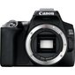 Canon EOS 250D + EF-S 18-55mm III + EF 50mm STM цена и информация | Skaitmeniniai fotoaparatai | pigu.lt