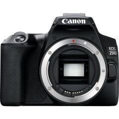 Canon EOS 250D + EF-S 10 - 18 мм IS STM цена и информация | Цифровые фотоаппараты | pigu.lt