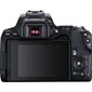 Canon EOS 4000D + EF-S 10-18mm IS STM kaina ir informacija | Skaitmeniniai fotoaparatai | pigu.lt