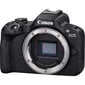 Canon EOS R50 + Mount Adapter EF-EOS R цена и информация | Skaitmeniniai fotoaparatai | pigu.lt