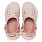 Crocs™ klumpės vaikams Echo Clog Kid's 231950, smėlio spalvos kaina ir informacija | Guminės klumpės vaikams | pigu.lt