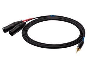 SSQ 3,5 mm - 2x XLR, 1 m цена и информация | Кабели и провода | pigu.lt