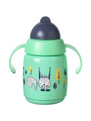 Gertuvė su šiaudeliu Tommee Tippee 478306, 6+, 300ml цена и информация | Бутылочки и аксессуары | pigu.lt