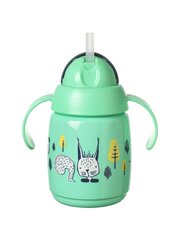 Gertuvė su šiaudeliu Tommee Tippee 478306, 6+, 300ml цена и информация | Бутылочки и аксессуары | pigu.lt