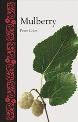 Mulberry цена и информация | Книги о питании и здоровом образе жизни | pigu.lt