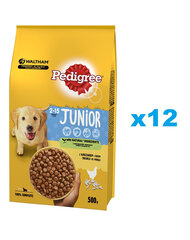Pedigree Junior jauniems šuniukams su vištiena, 12x500 g kaina ir informacija | Sausas maistas šunims | pigu.lt