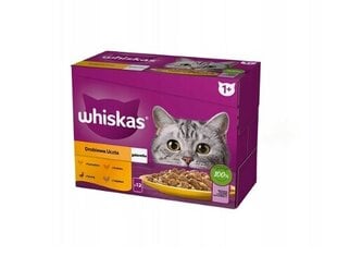 Whiskas su vištiena, antiena, paukštiena ir kalakutiena, 48x85 g kaina ir informacija | Whiskas Gyvūnų prekės | pigu.lt