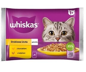 Whiskas для взрослых кошек с курицей и индейкой, 52х85 г цена и информация | Консервы для кошек | pigu.lt