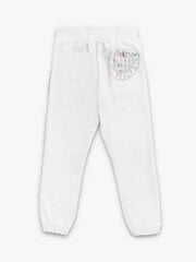 Brums Pantalone Felpina C/paillettes 520088329 цена и информация | Брюки для девочки, бирюзовые | pigu.lt