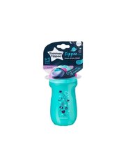 Vaikiška gertuvė Tommee Tippee ,12+ mėn, 260 ml. цена и информация | Бутылочки и аксессуары | pigu.lt