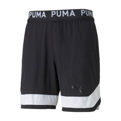 Спортивные мужские шорты Puma Trainning Чёрный цена и информация | Мужская спортивная одежда | pigu.lt