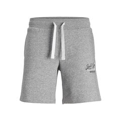 Спортивные мужские шорты Jack & Jones JPSTANDY SWEAT 12225087 Серый цена и информация | Мужские термобрюки, темно-синие, SMA61007 | pigu.lt