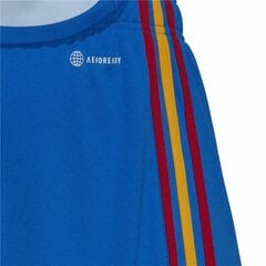 Спортивные мужские шорты Adidas Spain National Team Away '22 Синий цена и информация | Футбольная форма и другие товары | pigu.lt