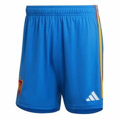 Спортивные мужские шорты Adidas Spain National Team Away '22 Синий цена и информация | Футбольная форма и другие товары | pigu.lt