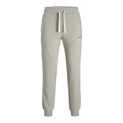 Спортивные штаны для взрослых Jack & Jones JPSTGORDON 12225078 Зеленый Мужской цена и информация | Мужская спортивная одежда | pigu.lt