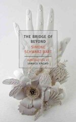 Bridge Of Beyond Main цена и информация | Fantastinės, mistinės knygos | pigu.lt
