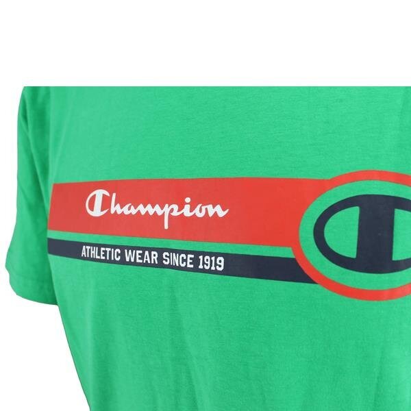 Marškinėliai vyrams Champion Legacy 218561GS004, žali kaina ir informacija | Vyriški marškinėliai | pigu.lt