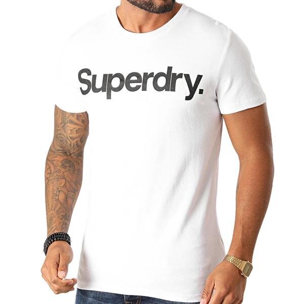 Marškinėliai vyrams Superdry, balti kaina ir informacija | Vyriški marškinėliai | pigu.lt