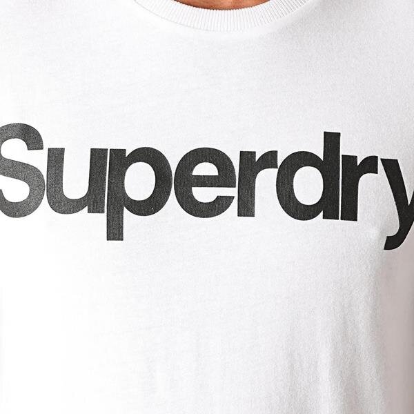 Marškinėliai vyrams Superdry, balti kaina ir informacija | Vyriški marškinėliai | pigu.lt