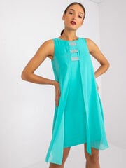 Женское голубое платье с принтом цена и информация | Платья | pigu.lt