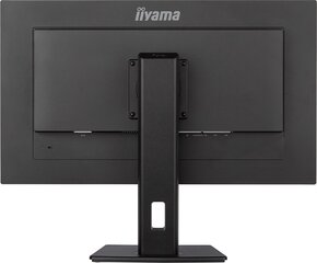 Iiyama ProLite XUB2893UHSU-B5 цена и информация | Мониторы | pigu.lt