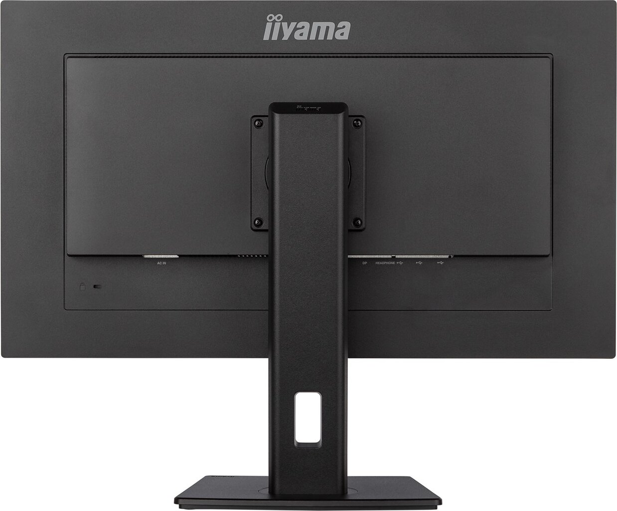 Iiyama ProLite XUB2893UHSU-B5 kaina ir informacija | Monitoriai | pigu.lt