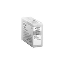 Epson T850900 Light Light Black Ultra Chrome HD ink 80ml kaina ir informacija | Kasetės lazeriniams spausdintuvams | pigu.lt