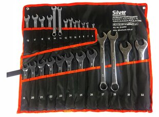 Kombinuotų raktų rinkinys Silver S10993 цена и информация | Механические инструменты | pigu.lt