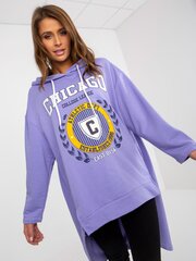 Džemperis moterims Fancy 2016103285068, violetinis kaina ir informacija | Džemperiai moterims | pigu.lt