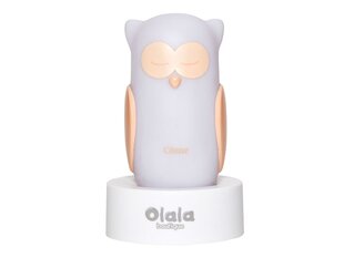 Vaikiška LED lempa Olala kaina ir informacija | Vaikiški šviestuvai | pigu.lt