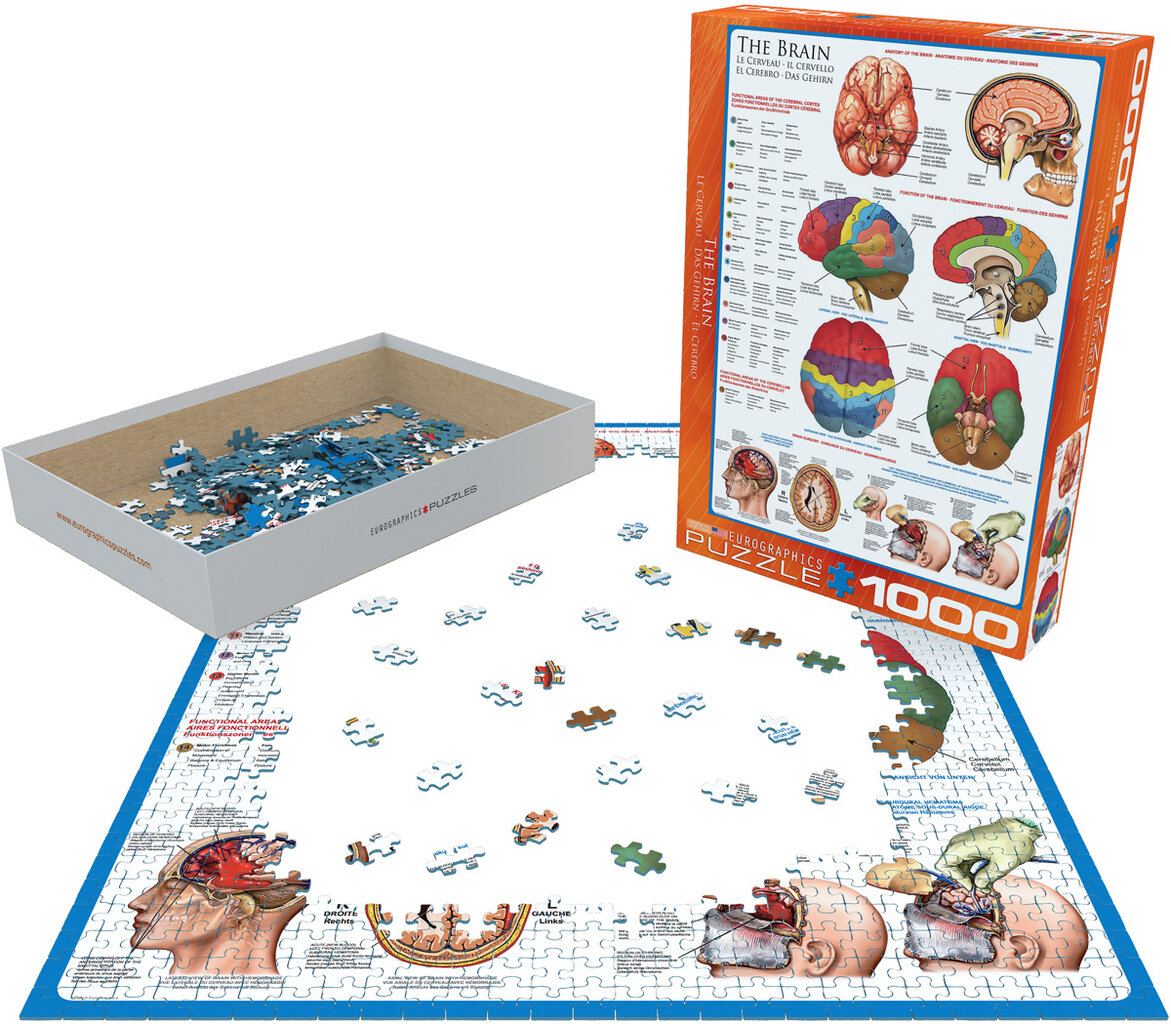 Dėlionė Eurographics, 6000-0256, The Brain, 1000 d. kaina ir informacija | Dėlionės (puzzle) | pigu.lt