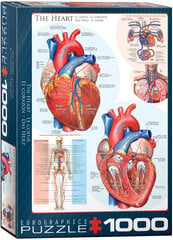 Dėlionė Eurographics, 6000-0257, The Heart, 1000 d. kaina ir informacija | Dėlionės (puzzle) | pigu.lt