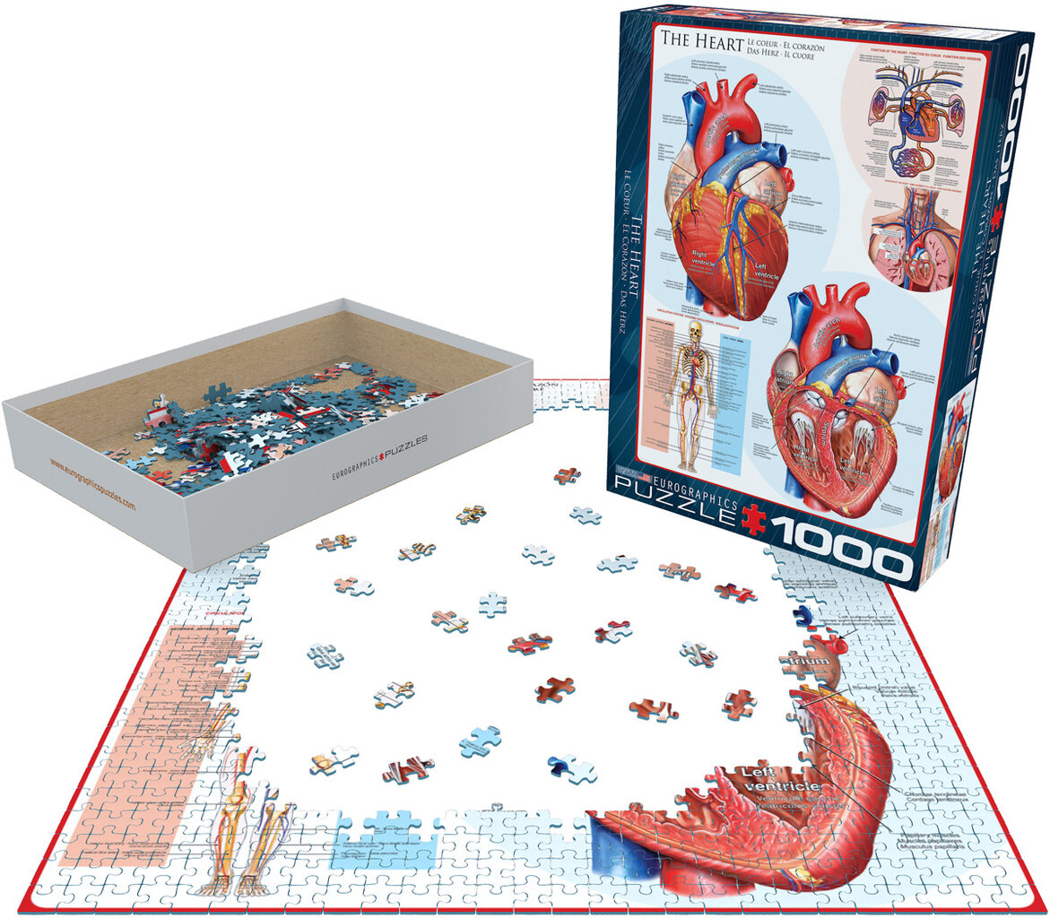 Dėlionė Eurographics, 6000-0257, The Heart, 1000 d. kaina ir informacija | Dėlionės (puzzle) | pigu.lt